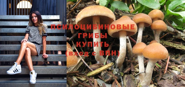 эйфоретик Армянск