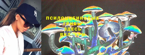 ECSTASY Аркадак