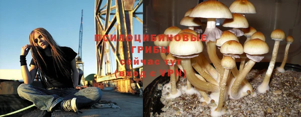 спиды Арсеньев