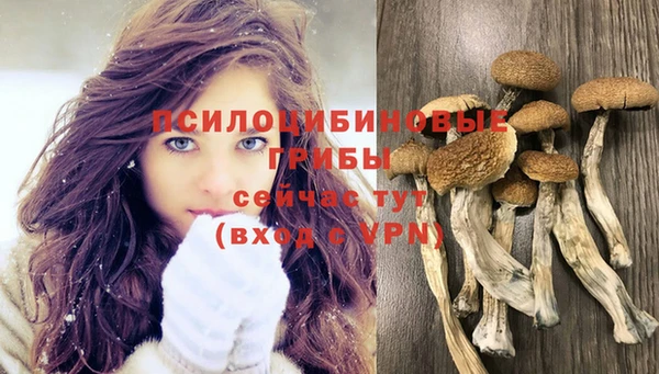 эйфоретик Армянск