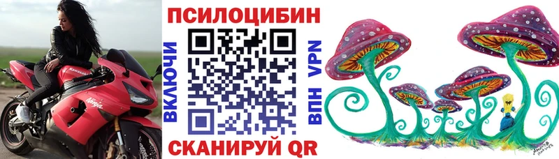Купить где  Невельск  Псилоцибиновые грибы Cubensis 