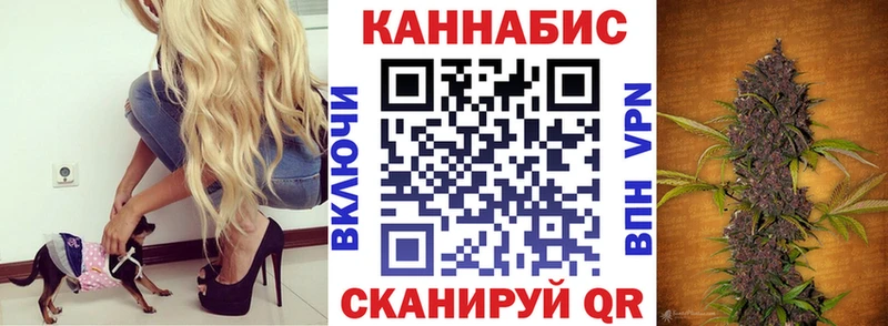 Купить где  Невельск  Каннабис MAZAR 